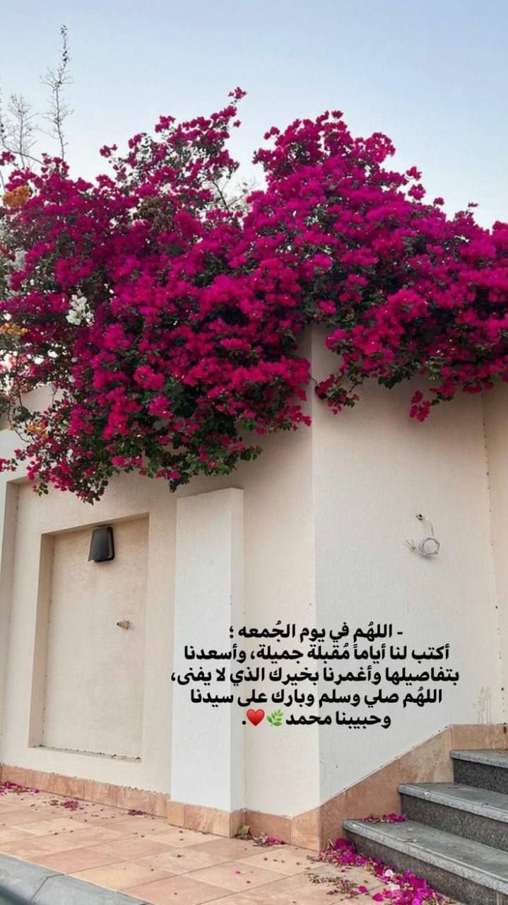 تصوير مجاني لاول مشترك